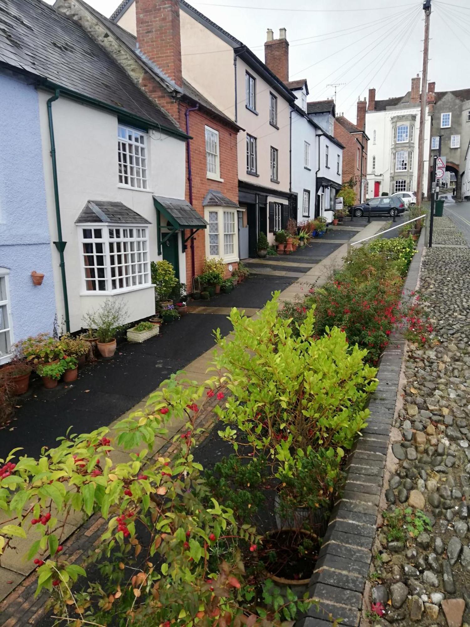 Toad Hall Ludlow Exteriér fotografie